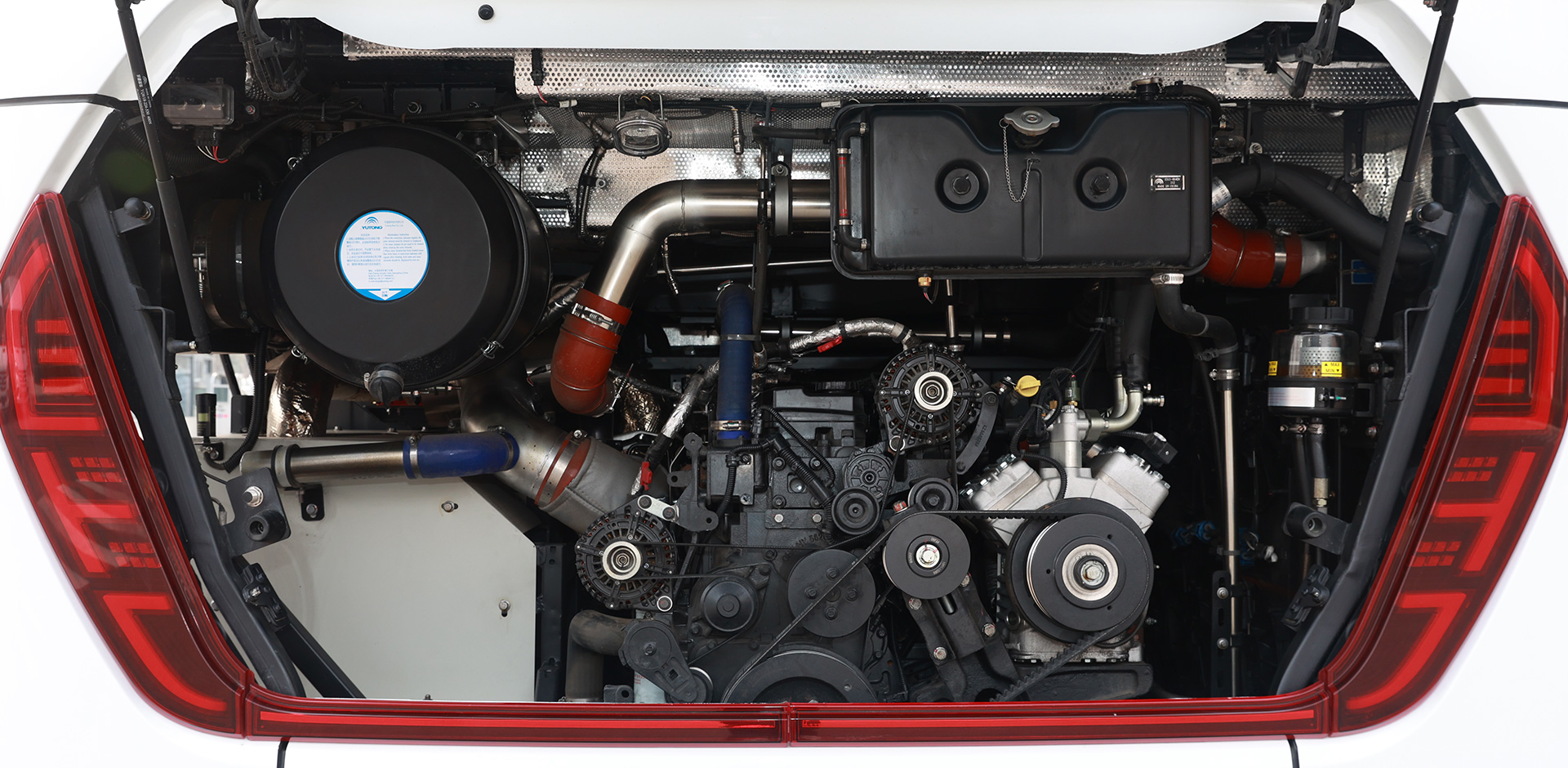 C10